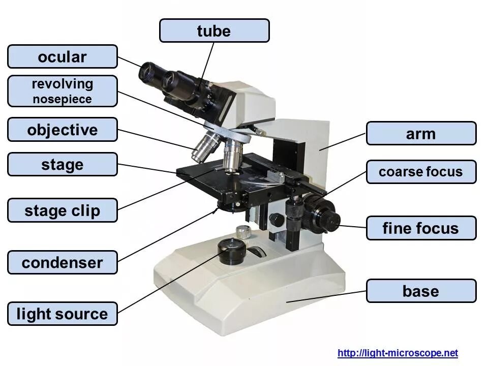 Тубус цифрового микроскопа. Microscope микроскоп 1-1200х. Микроскоп Icom Poland Scientific Microscope (7161069). Light Microscope Parts. Детали микроскопа.