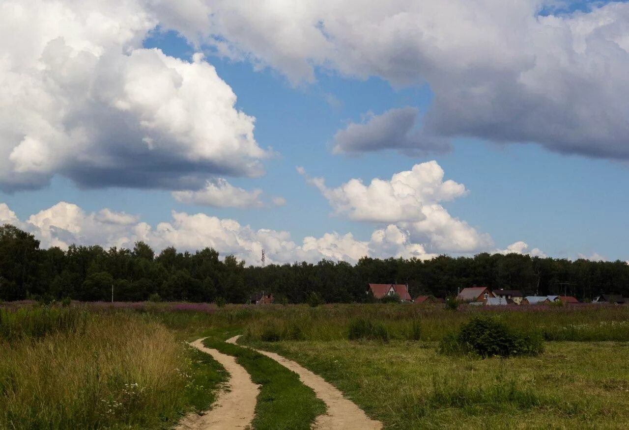 Продам землю в городе. КП Клязьминский парк. Участок без построек. Земельный участок. Земельный участок без дома.