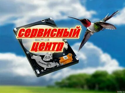 Ремонт техники энгельс