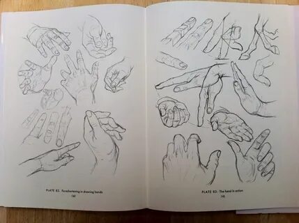 Heads and hands