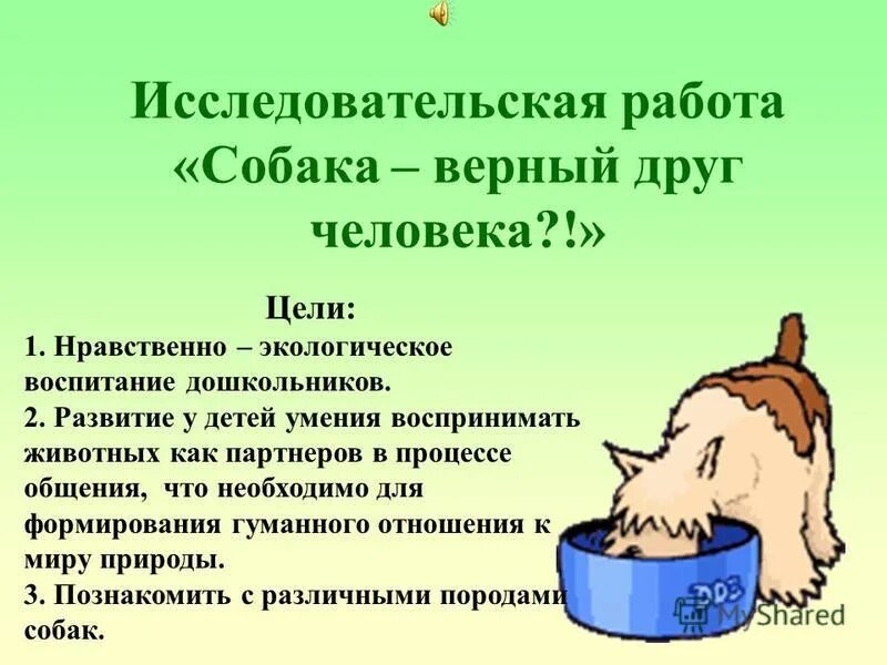 Темы исследовательских работ собаки. Темы исследовательских работ собаки. Памятка ухода за собаками для детей. Исследовательская работа собака друг человека. Правила ухода за собакой.