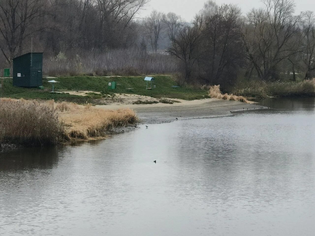 Обмеление цны. Водоем разлив. Тамбов река цна обмелела. Водоем разлив. Река паника тамбов.