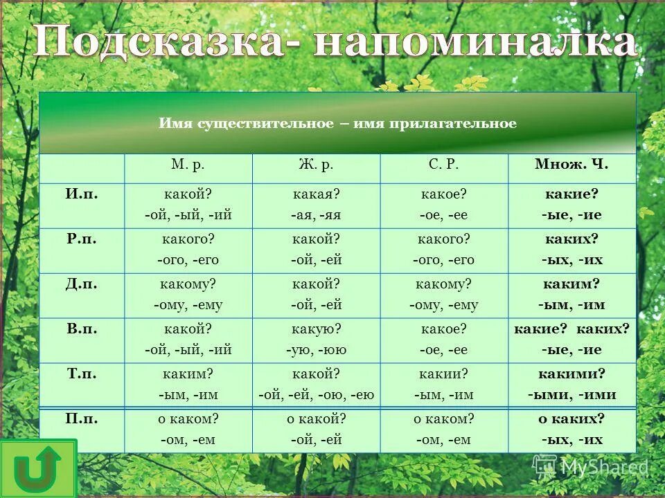 Лучшему другу падеж прилагательного. Падежи прилагательных. Падеж имён прилагательных 4 класс. Тренажер падеж имени прилагательного. Падежи имени прилагательного.