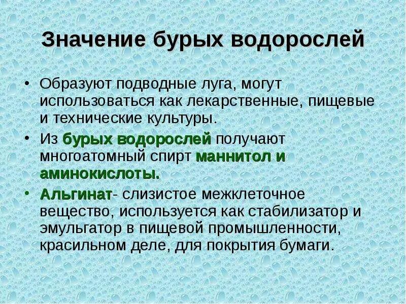 Каково значение бурых водорослей в жизни