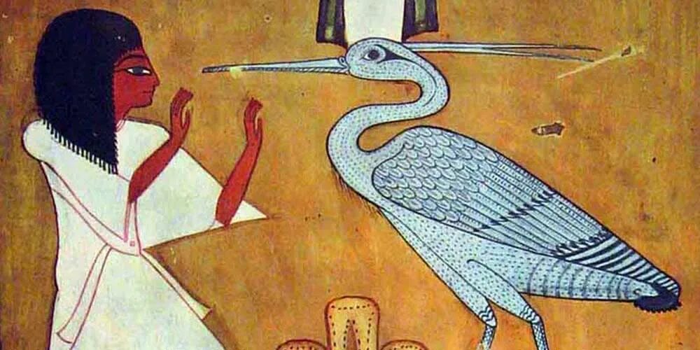 Священный бог египтян. Священный ибис древнего египта. священные животные древнего египта ибис. птица ибис в древнем египте. священные птицы древнего египта.