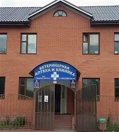 киржач ветклиника айболит. ветклиника айболит самара. айболит зеленодольск. ветеринар киржач  котопес. айболит калуга ветклиника.