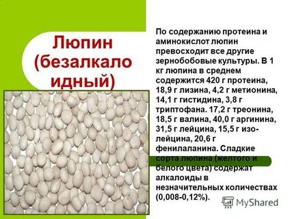 Белки зерна