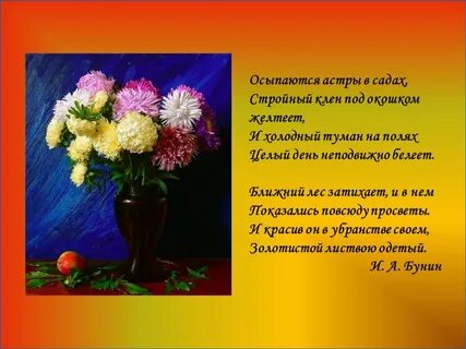 Осыпаются астры в садах стройный клен