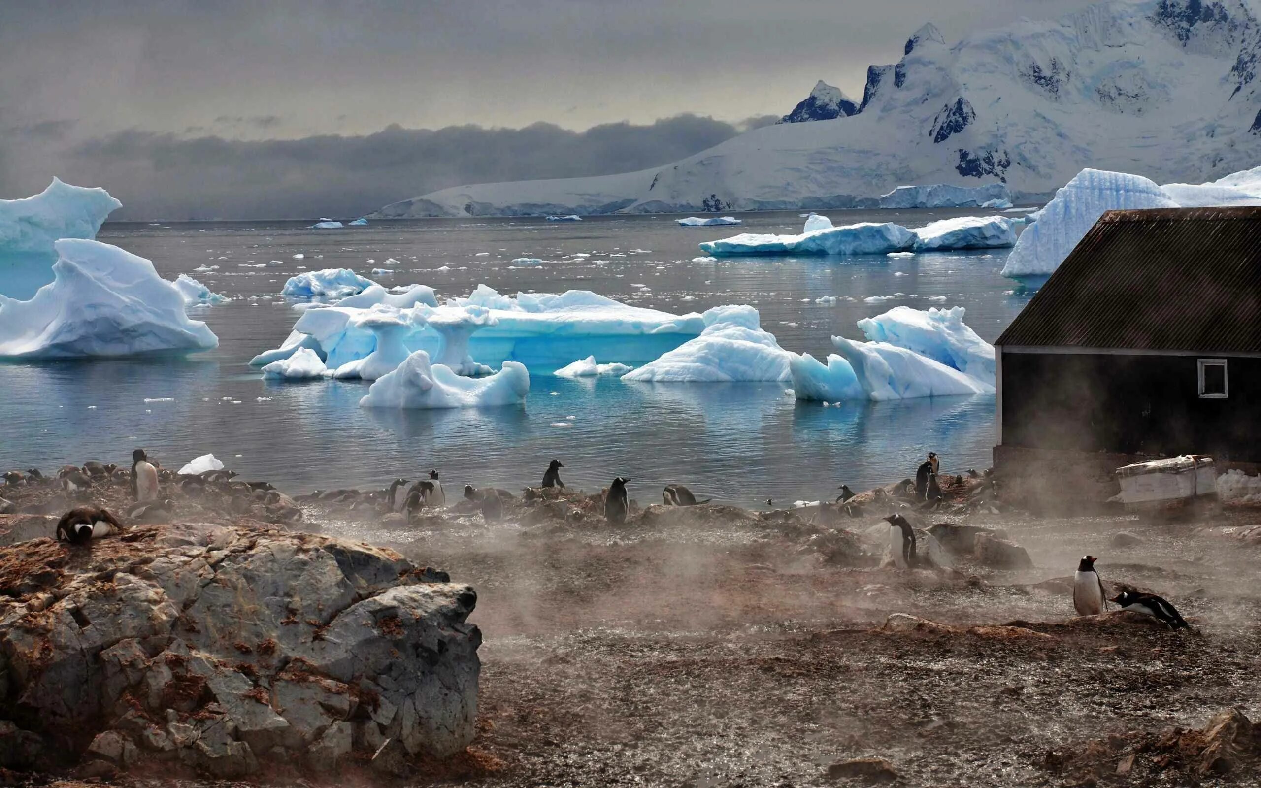Cierva Cove, Antarctica with M.V. Sea Spirit This place wa. Flickr