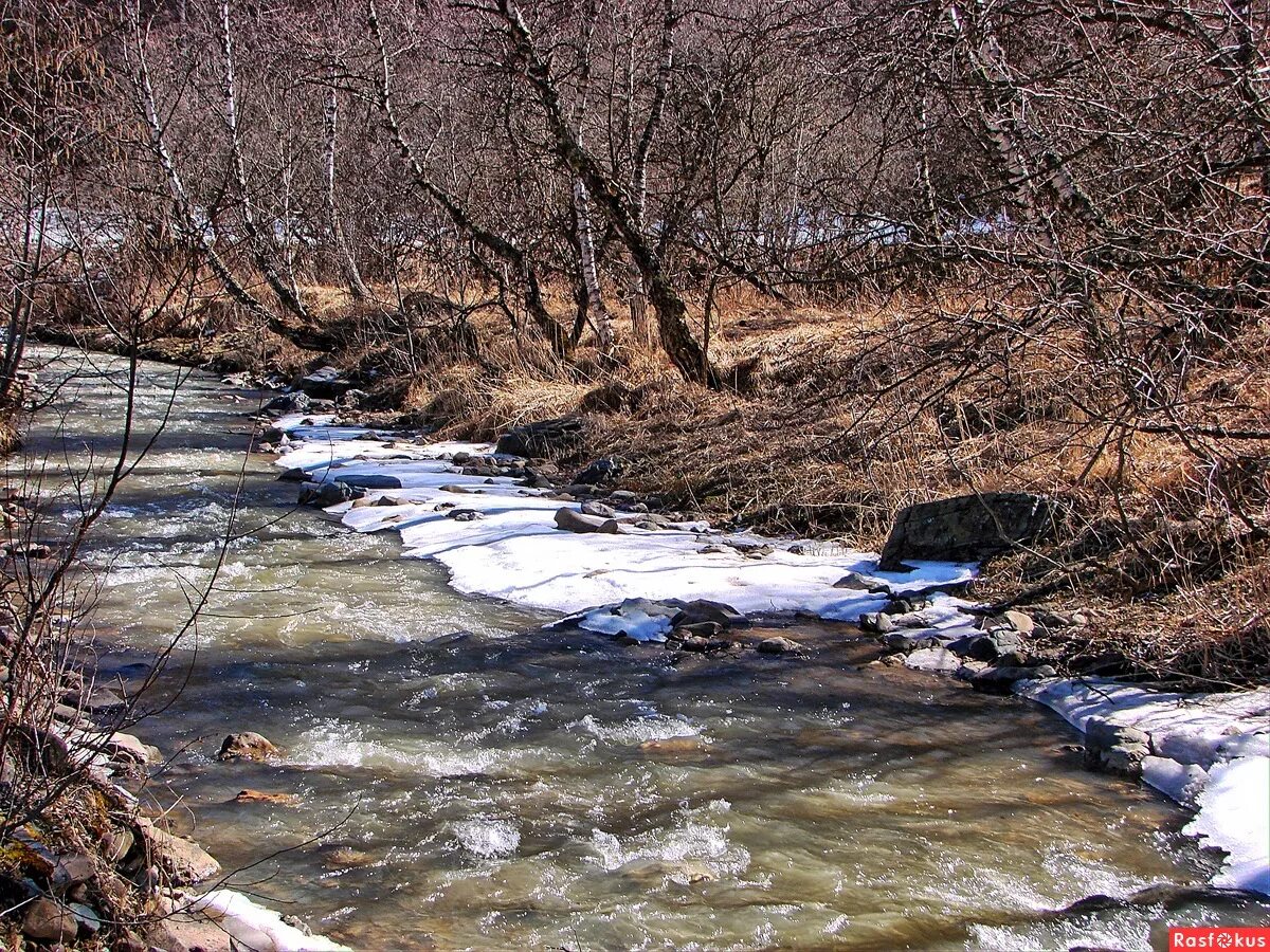 поток весной. весенний поток. весенний разлив фото. маленький ручей. весенние потоки воды.