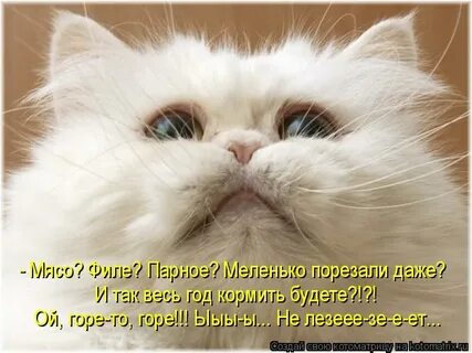 А когда будет жалко