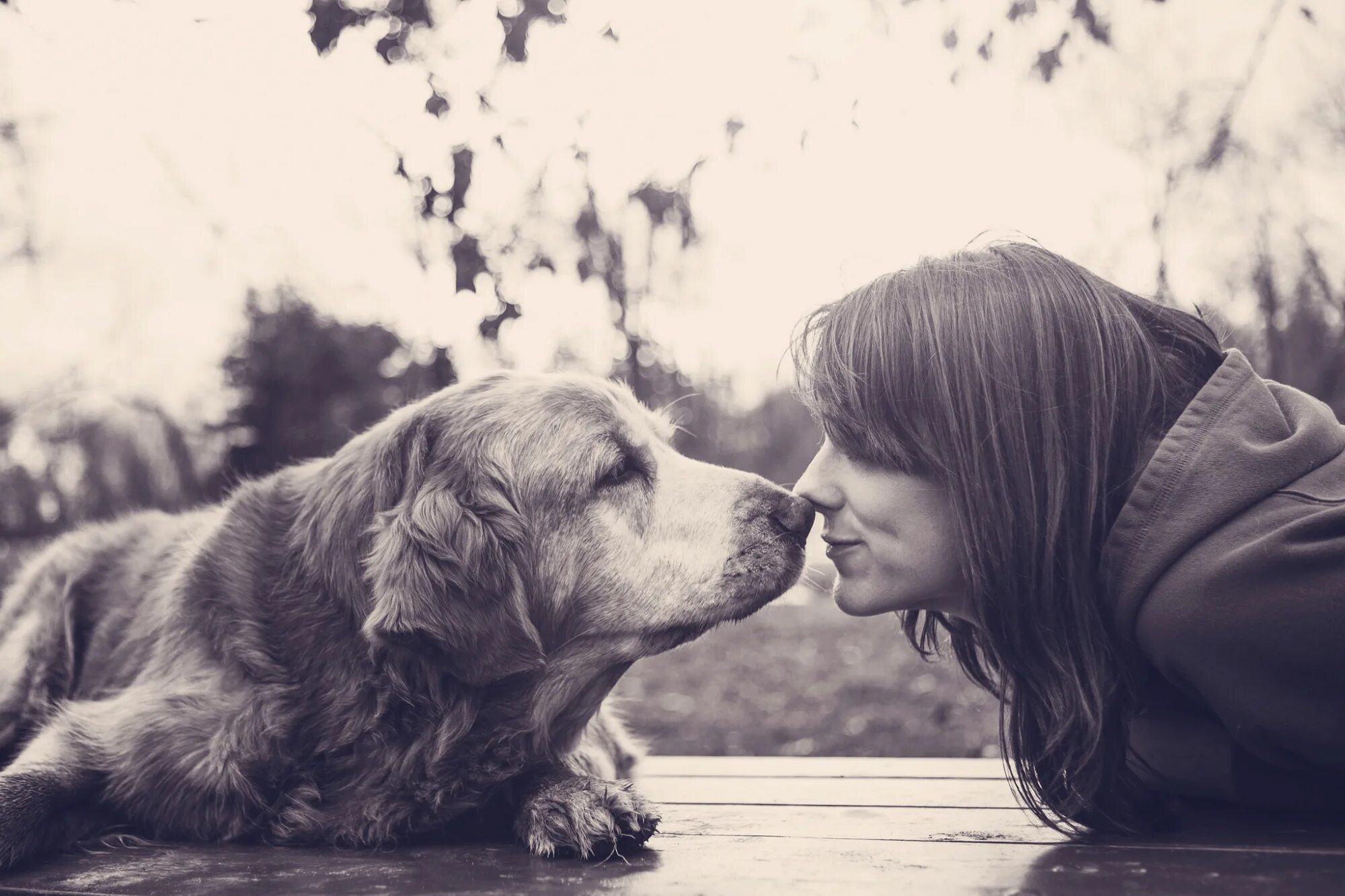 Woman 3 dog. Девушка с собакой. Девушка с собакой фотосессия. Собака друг человека. Девушка с собакой друзья.