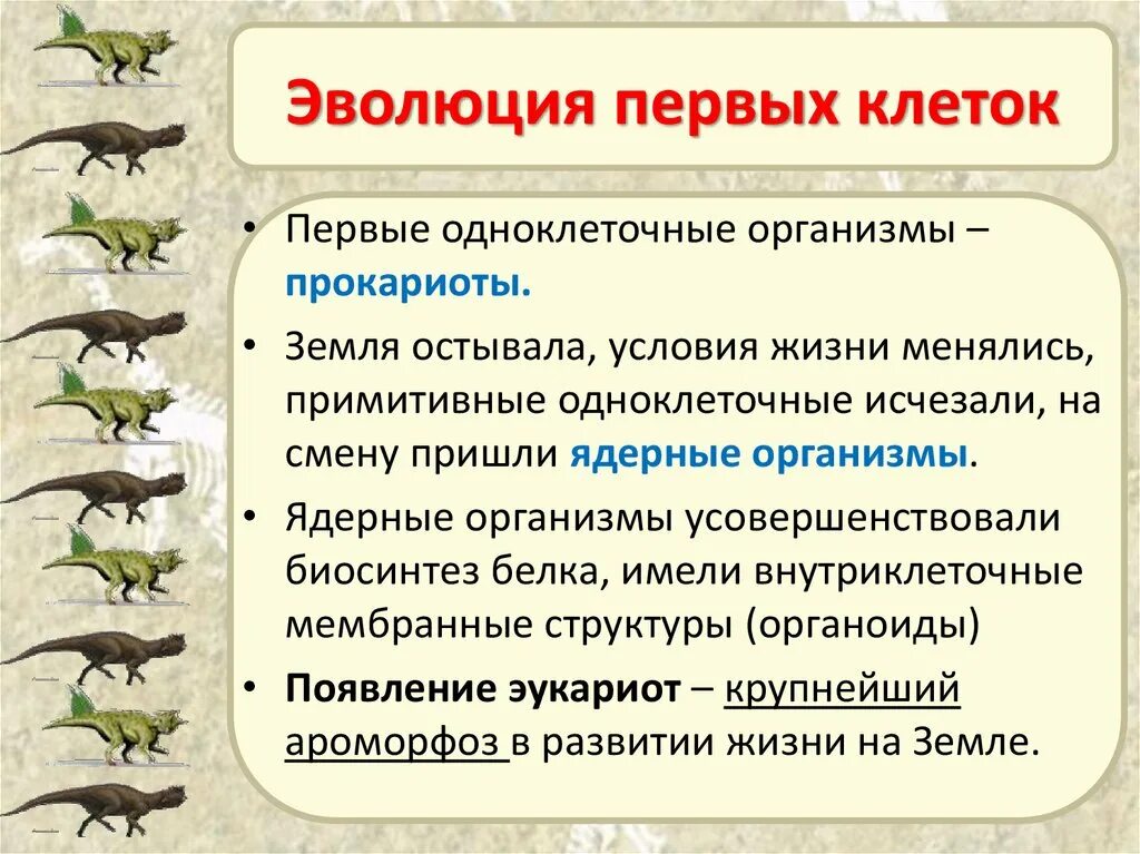 Эволюция первых клеток