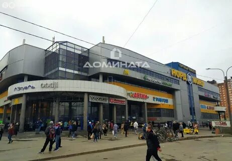 Санкт петербург просвещения 19