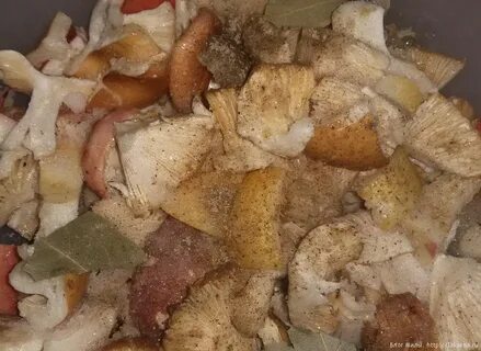 Соленые сыроежки рецепт горячим способом
