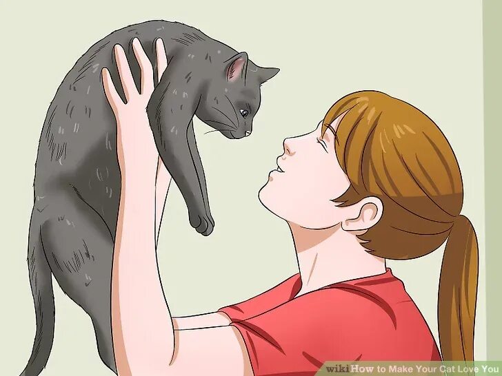 Покерный кот. Миска для кота. Кот мяяя мяяя мяяя. Кэт-т. Коты аристократы берлиоз.