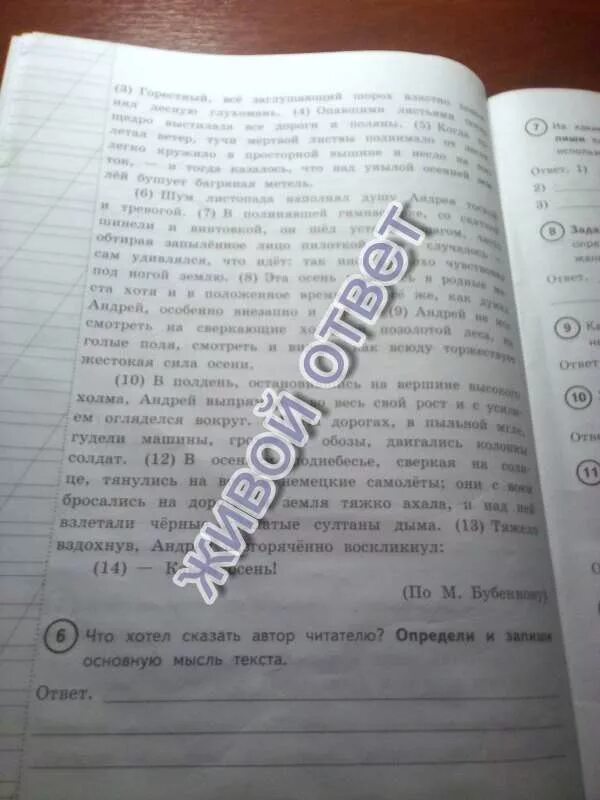 Дельфины впр 4 класс основная мысль. Запиши основную мысль текста. определи и запиши основную мысль текста. основная мысль текста впр. определи и запиши основную мысль текста впр.