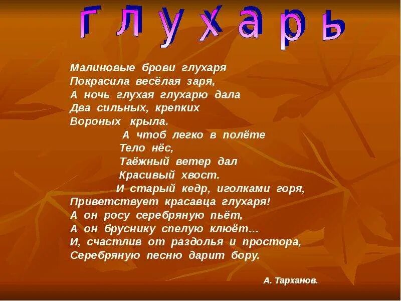 Загадка про глухаря для детей. Загадки про глухаря. Стих про глухаря. Стихотворение про глухаря для детей. Текст про глухаря