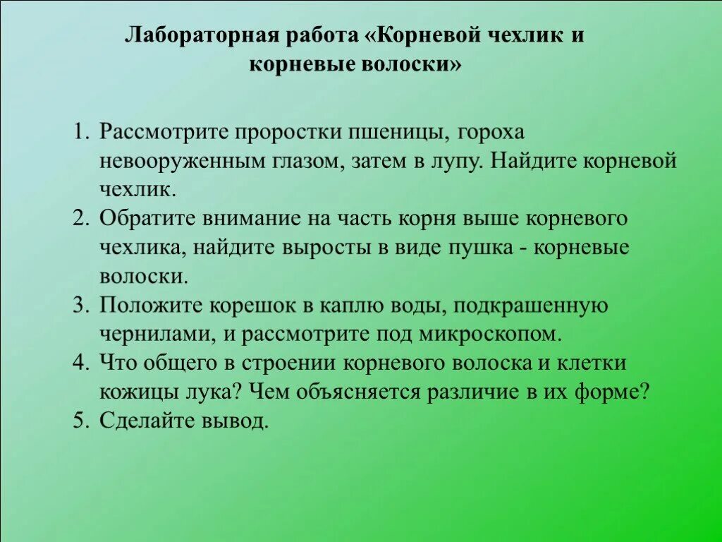 Окружающей разбор. Лабораторная работа корневой чехлик. Пунктуационный разбор пр. Лабораторная работа корневой чехлик и корневые волоски. Пунктуационный разбор предложения.