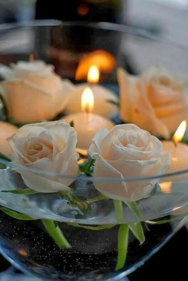 Красивая память. Светлая память. Свечи и цветы. Розы и свечи. Цветы вечер.