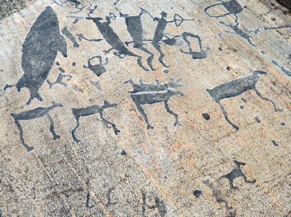 Какая птица изображена на петроглифах