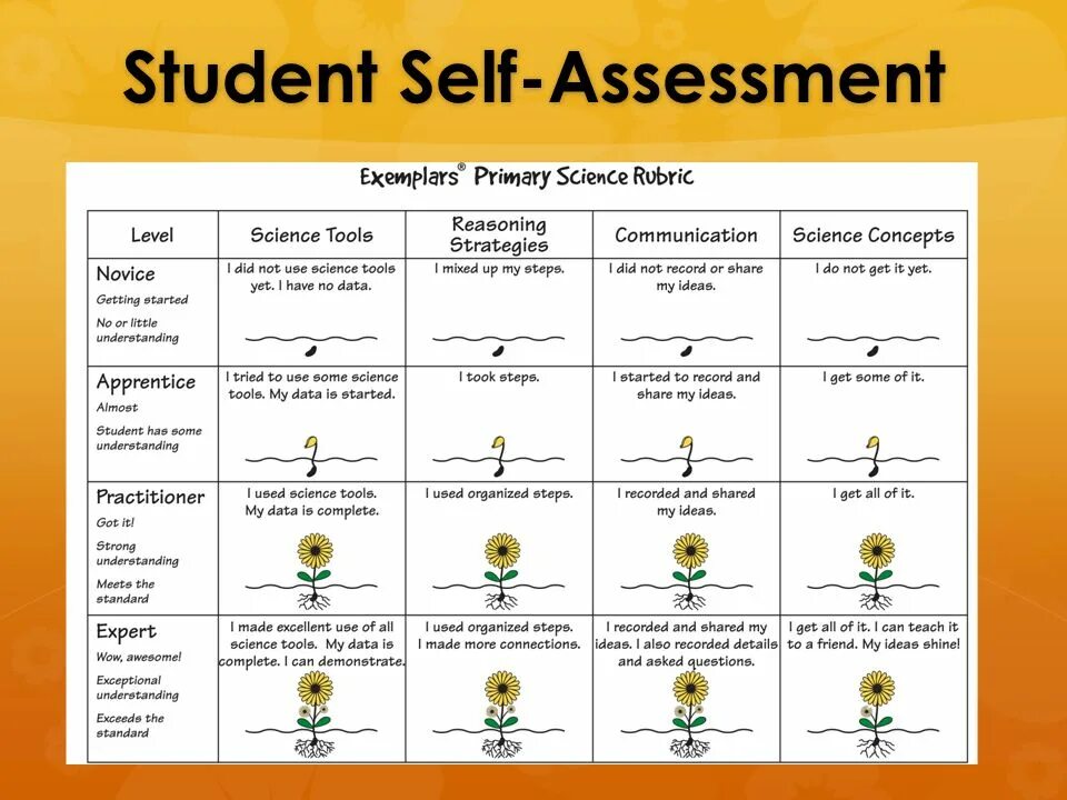 Students assessment. Self Assessment. Self evaluation. A. self - Assessment. Self-Assessment учебник. Self Assessment example.