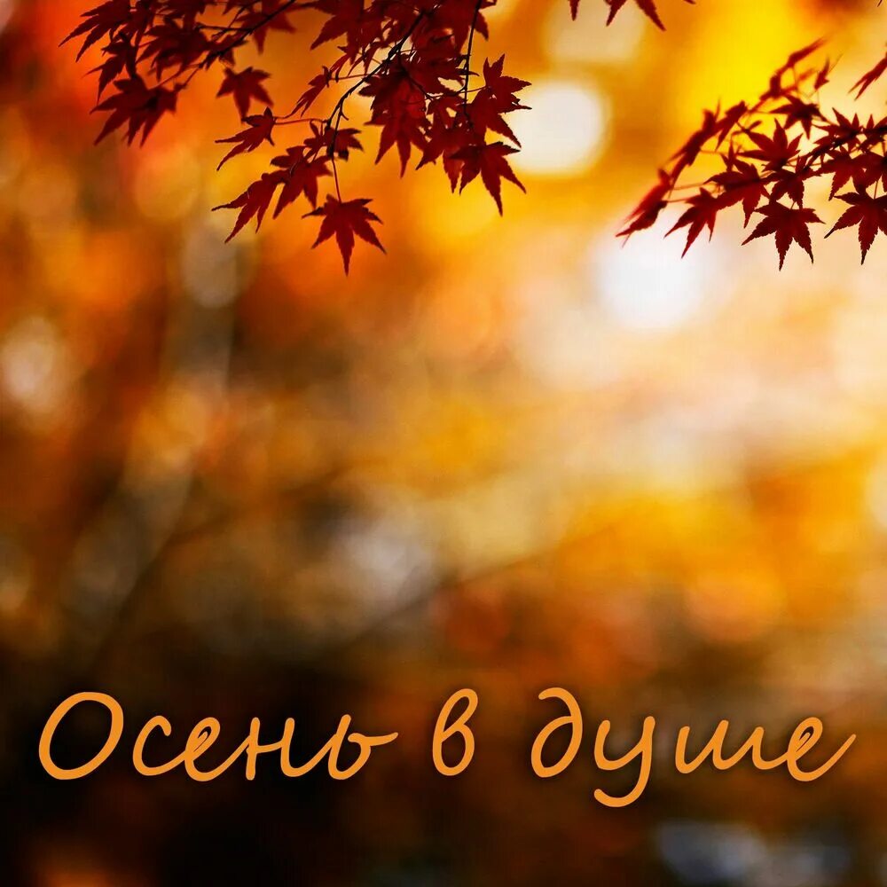 Осень в душе человека. Осень в душе. Душевная осень. Моя осень. Осень на душе осень в сердце.
