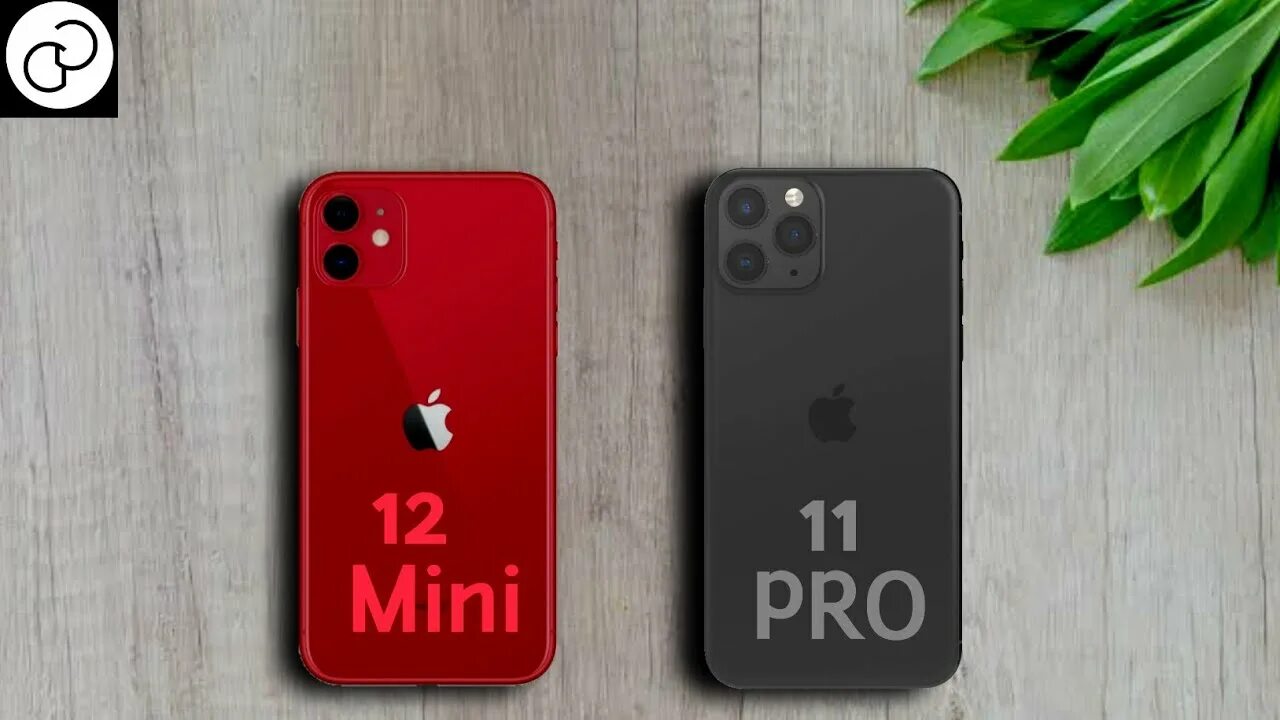 11 айфон мини мини мини сравнение. Iphone 11 Pro vs 12 Mini. Iphone 12 Mini и iphone 11. Iphone 12 Mini vs Pro. Iphone 13 Mini vs 11 Pro.