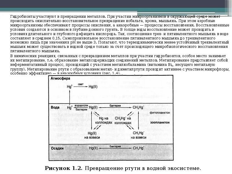 Окислительное восстановительное превращение в аэробном. Окислительно-восстановительные превращения над. Процессы с участием бактерий. Аэробное окисление белков микроорганизмов. Аэробное окисление веществ