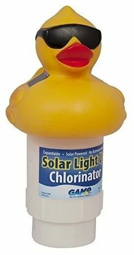 Черный фаворит утка. Утка на свету. Кряква. Бассейн утенок. Утка света.