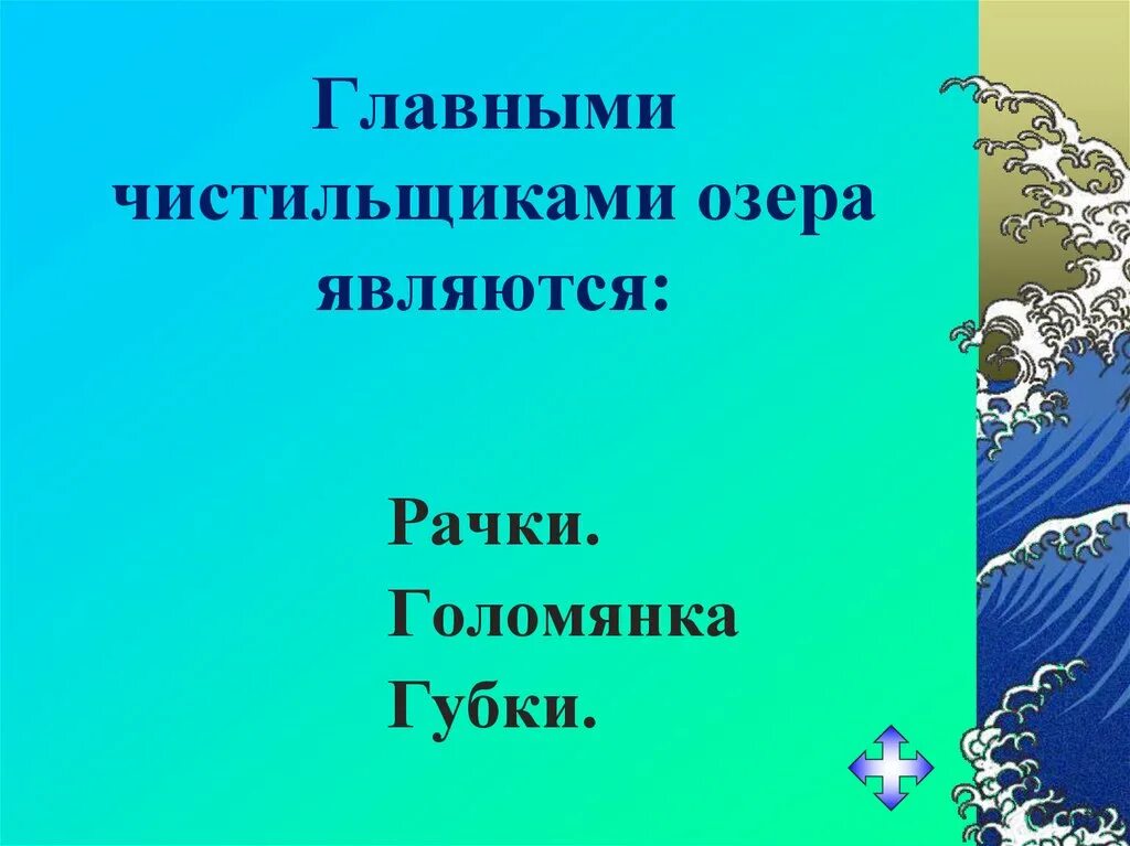 Санитары байкала. Невидимые санитары озера байкал. водоросли байкала презентация. сообщение о губке байкала.