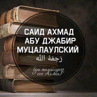 3 основы читать