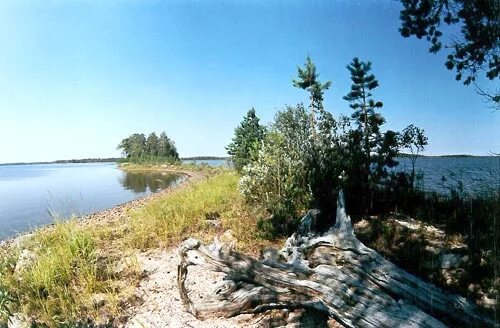 Озеро рогозеро. Рогозеро мурманск. Озеро рогозеро. Рогозеро мурманск. Рогозеро мурманск рыбалка.