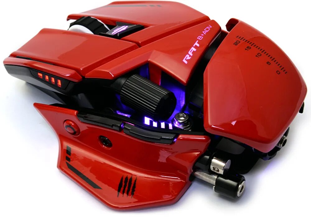 A. 8+ white. T. T. T.