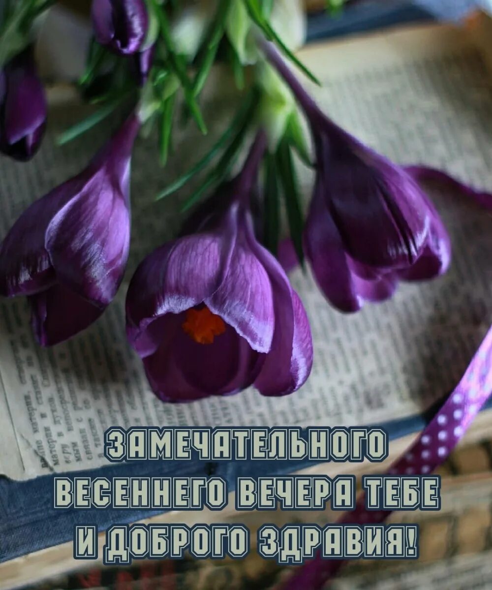 Доброго здравия. Доброго вам здравия. пожелания доброго здравия. доброго весеннего вечера тебе.