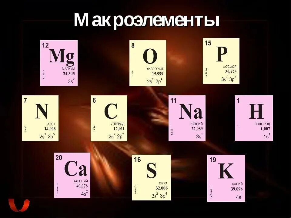 Макроэлементы. Макроэлементы в организме человека. Элементы макроэлементы. Макроэлементы и микроэлементы.