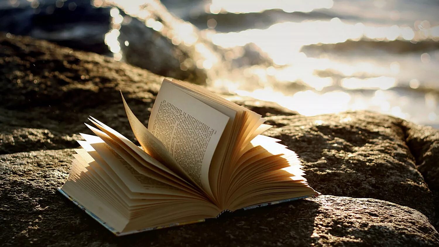 перелистывание страниц книги. листать книжку. листать книжку. листать книжку. фон книги.