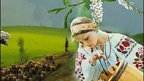 Черемшина украинская народная