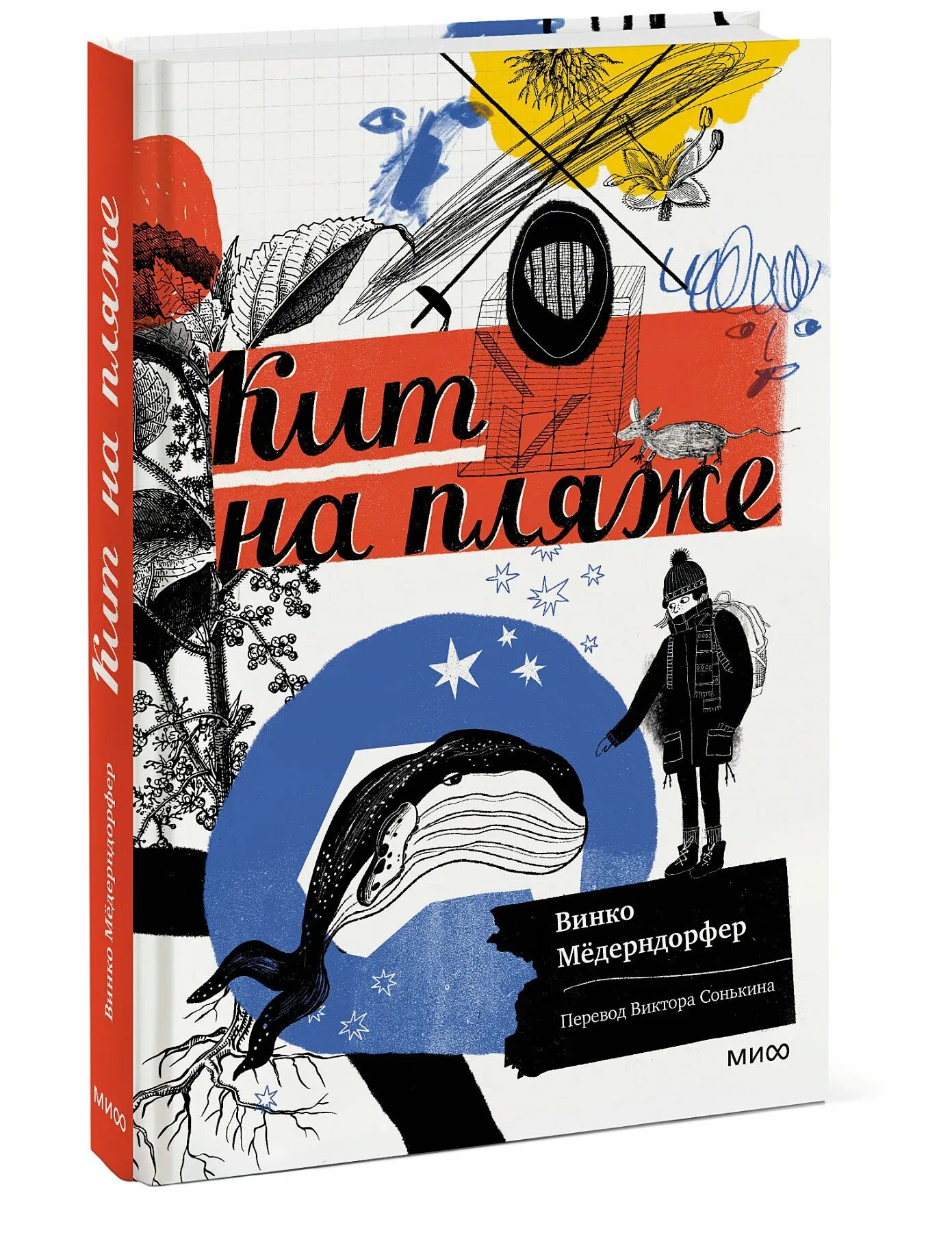 Книги про китов для детей. Книги о китах и дельфинах для детей. Книги про синих китов. Книги про китов. Чхон мёнгван "кит".