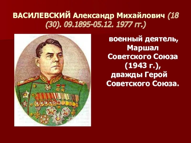 Маршал василевский сражение в районе луги. Маршал советского Союза а.м. Василевский.