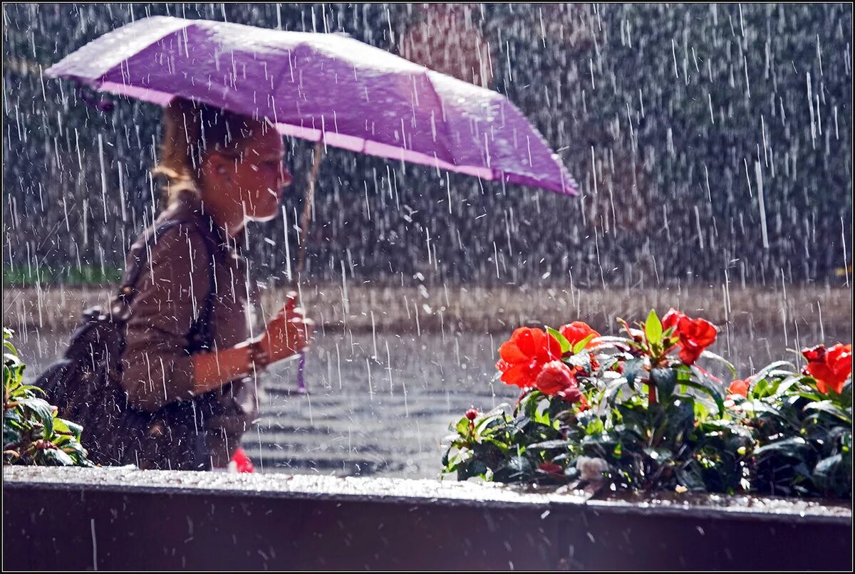 Rain фото. Дождь летом. Дождливый день. Дождливое лето в городе. Дождь летом в городе.