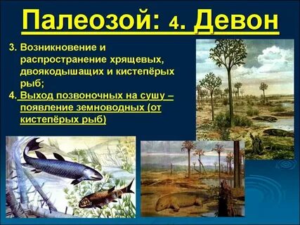 Выход растений на сушу приходится на эру