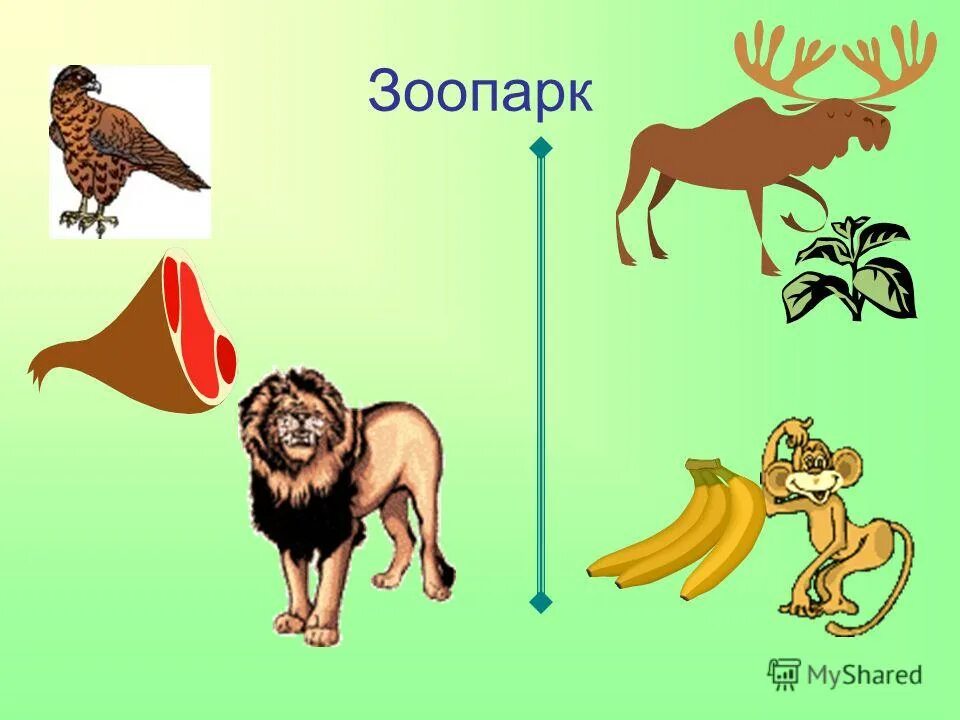 Окружающий мир про животных 1 класс. Презентация зоопарк. Зоопарк презентация для детей. Окружающий мир. В зоопарке. Презентация про зоопарк 1 класс.