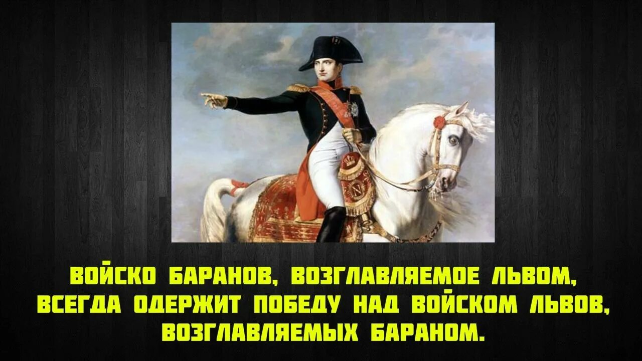 наполеон сила