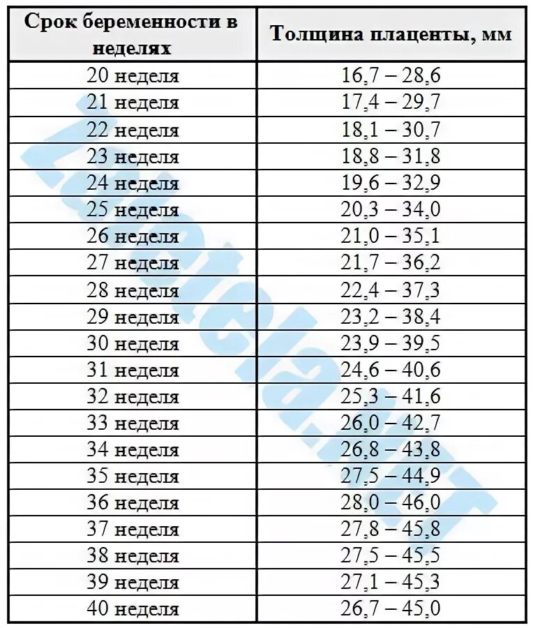 Таблица размеров плода по УЗИ 3 триместра. Толщина плаценты по неделям беременности таблица норма по УЗИ. Толщина плаценты в 32 недели беременности норма таблица. Норма толщины плаценты в 30 недель.