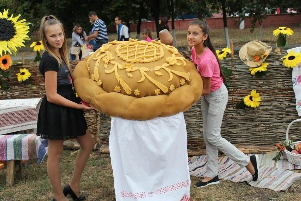 Рисоваров Богучар. Фестиваль подсолнуха Богучар. Парк в г Богучар. Богучар люди. Подслушано богучар вконтакте