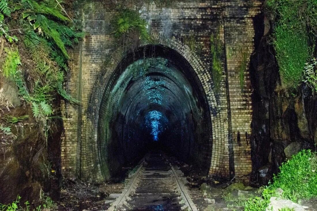 Тоннель. Хеленсбург заброшенный тоннель. Заброшенный Железнодорожный тоннель Австралия. Старый Железнодорожный тоннель в Хеленсбурге. Тоннель светлячков в Хеленсбурге Австралия.