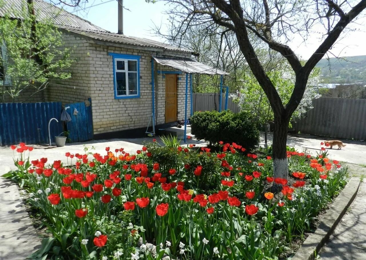 Рыздвяный поселок. Сухая буйвола ставропольский край. Погода в ставрополе. Сухая буйвола ставропольский. Подлесная 303.