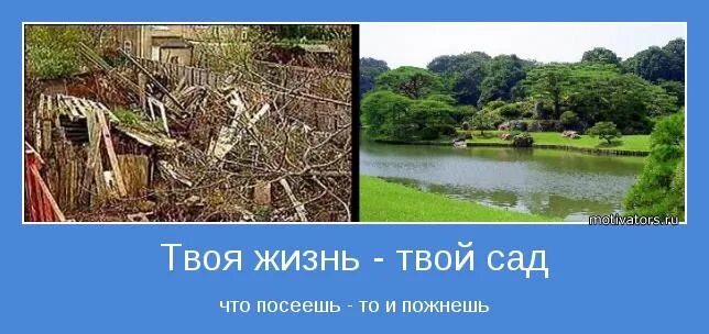 Что посеешь то и пожнешь. Что посеешь то и пожнешь картинки. Что посеешь то и пожнешь иллюстрация. Что посе е ш ь , то и пожнёш ь .. Поговорка что посеешь