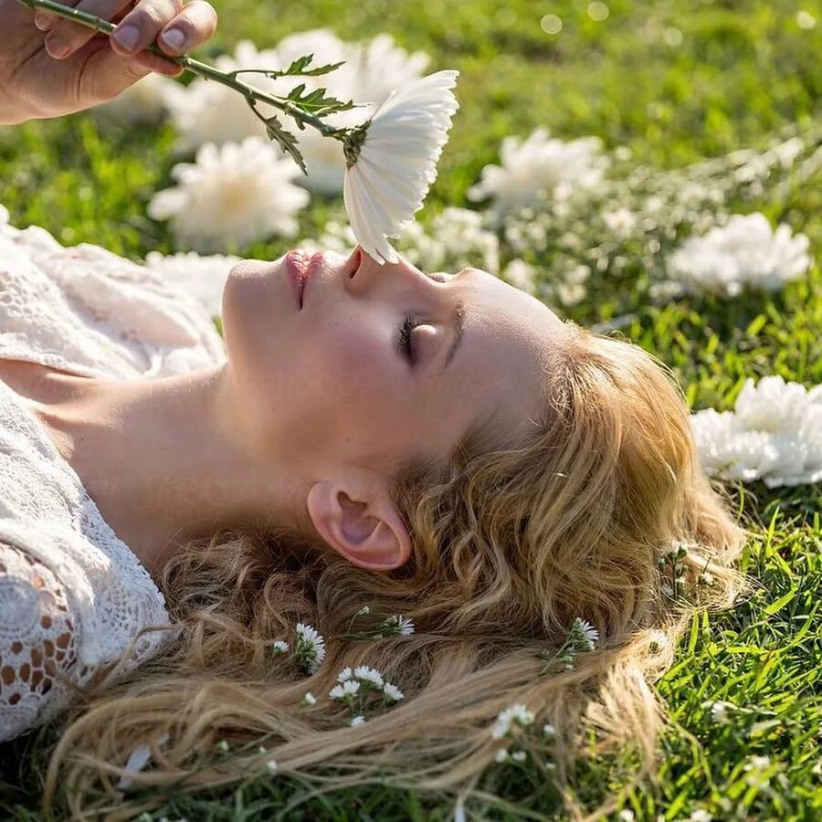 Макросъемка магдалена васичек. Чудеса живой природы. Прекрасные мгновения жизни. Мгновения красоты. Красота мгновения.